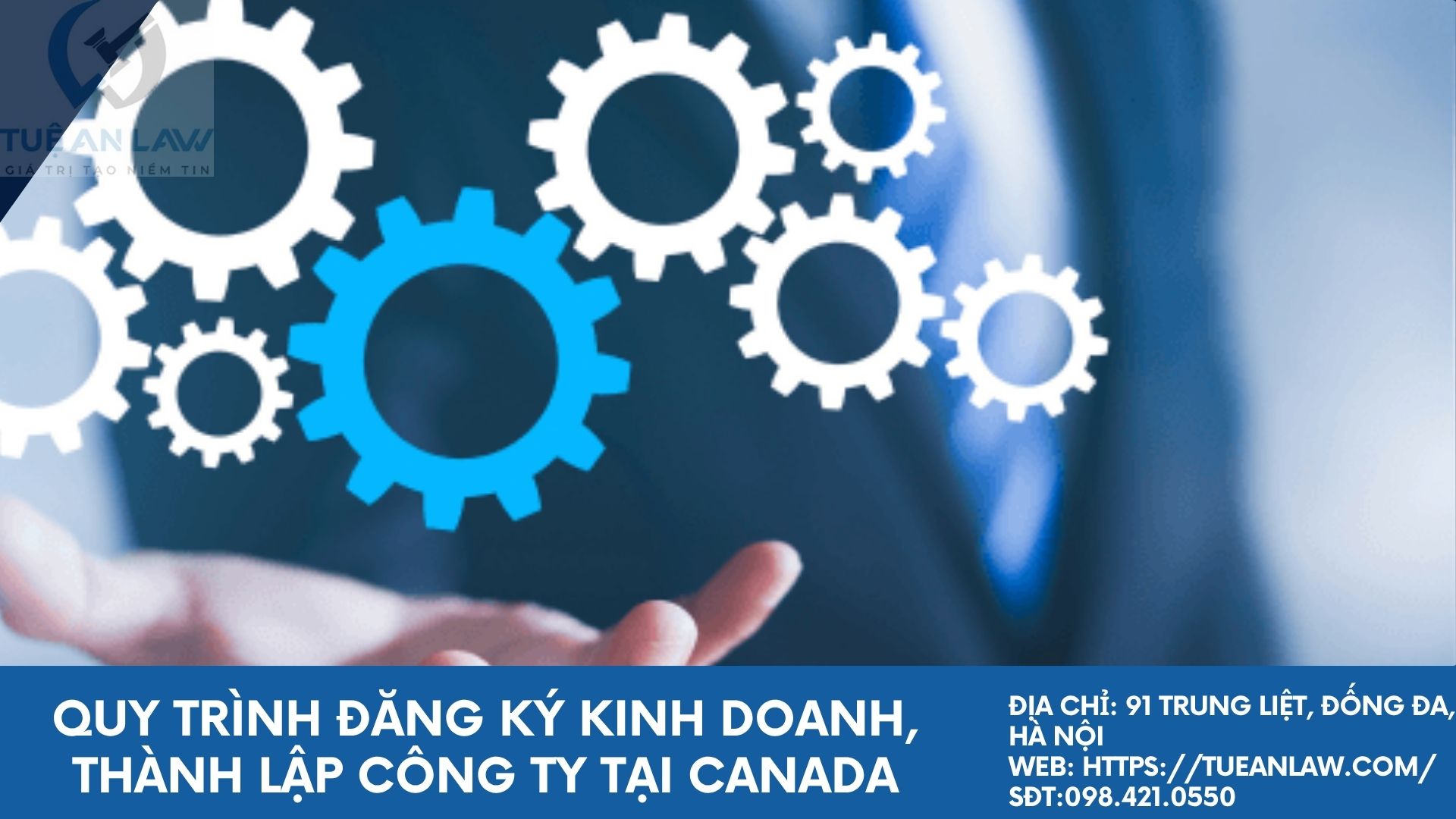 Quy trình đăng ký kinh doanh, thành lập công ty tại Canada
